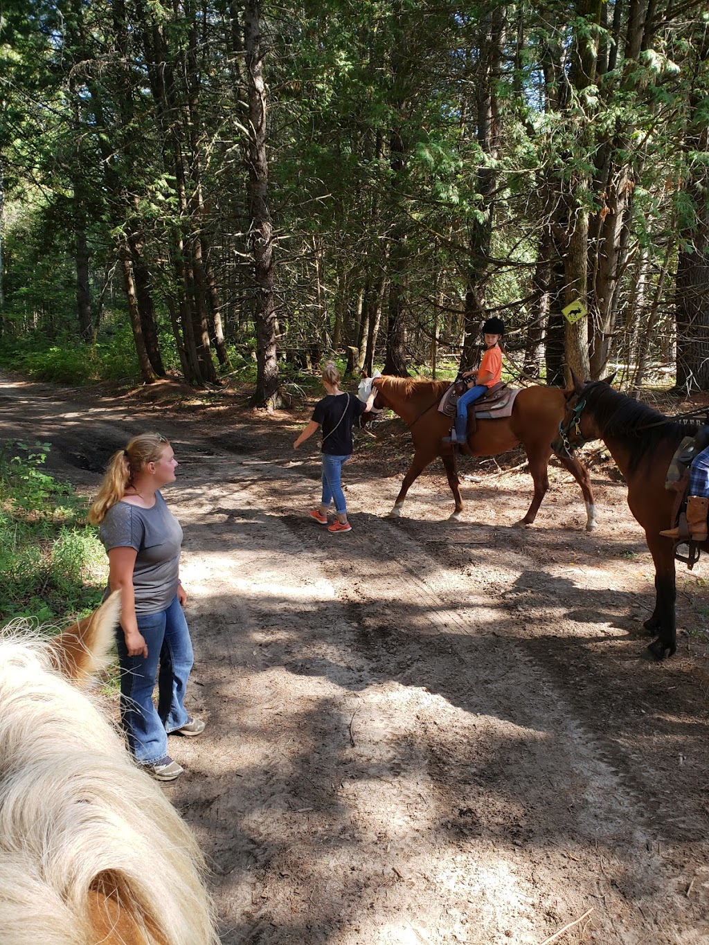 Frontier Trails Camp | 10545 ON-60, Eganville, ON K0J 1T0, Canada | Phone: (613) 625-2416