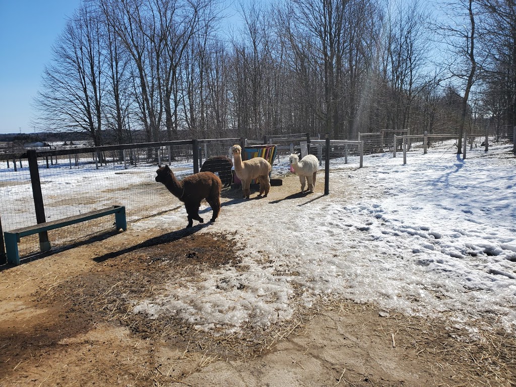 Haute Goat | 1166 5th line, Newtonville, ON L0A 1J0, Canada | Phone: (905) 447-3788