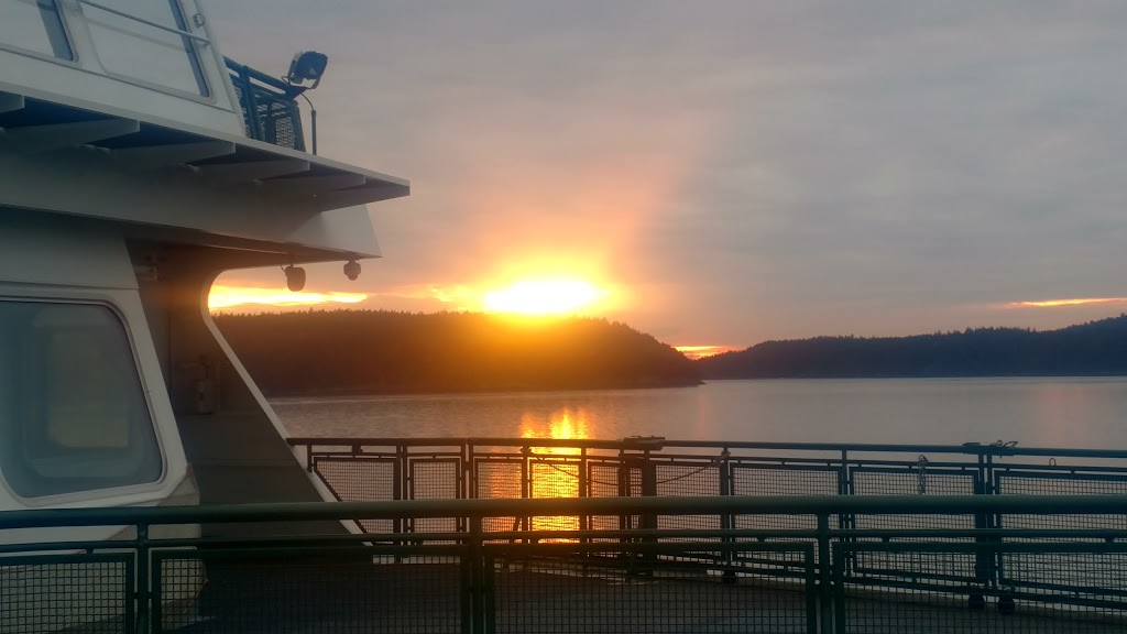 Sunset Kennel & Grooming | 1614 Swantown Rd, Oak Harbor, WA 98277, USA | Phone: (360) 675-7288