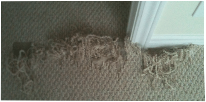 Hamilton Carpet Repair | 29 Shadeland Crescent, Hamilton, ON L8G 4X9, Canada | Phone: (416) 651-0888