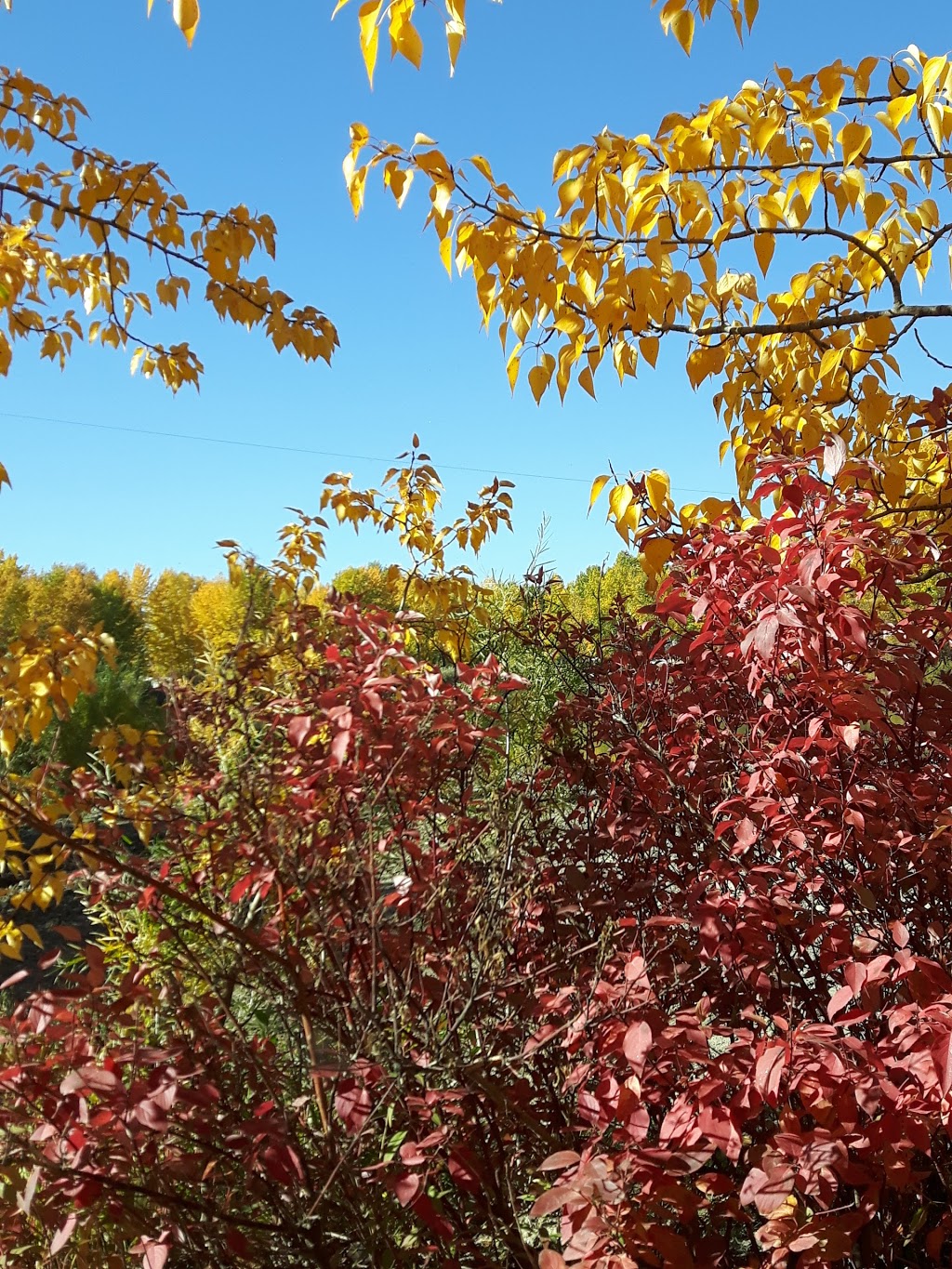 Riverbend Campground | 48033 370 Ave E, Okotoks, AB T1S 1B5, Canada | Phone: (403) 938-2017