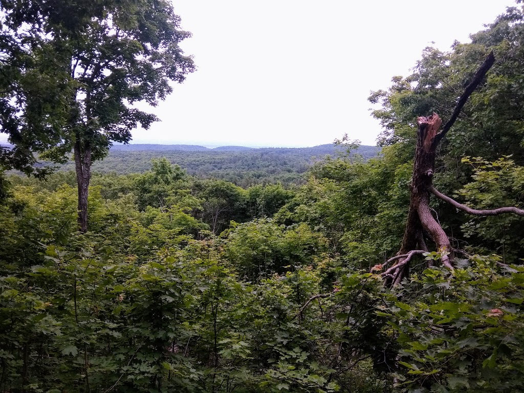 P7 Gatineau Park | 206 Chemin Kingsmere, Chelsea, QC J9B 1G8, Canada