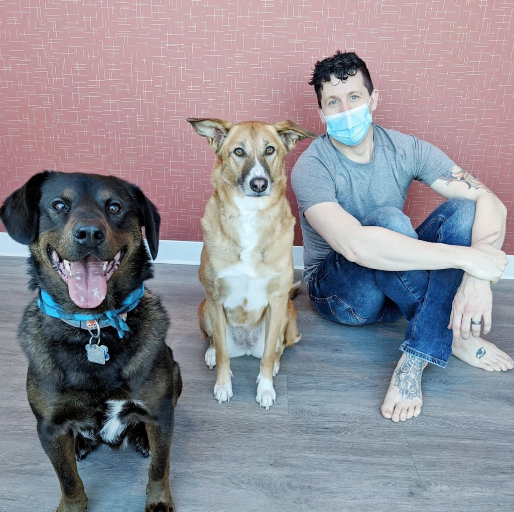 Canine Align Animal Chiropractic @ Nostos | 703 64 Ave SE Unit 170, Calgary, AB T2H 2C3, Canada | Phone: (587) 391-8611
