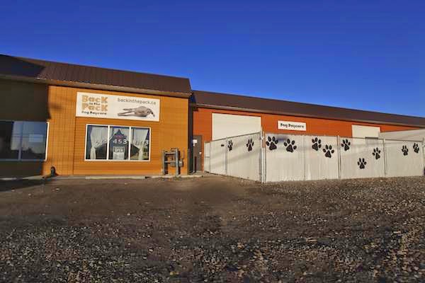 Back in the Pack Dog Daycare | 3131 68 St NW, Calgary, AB T3B 2J4, Canada | Phone: (403) 453-0913