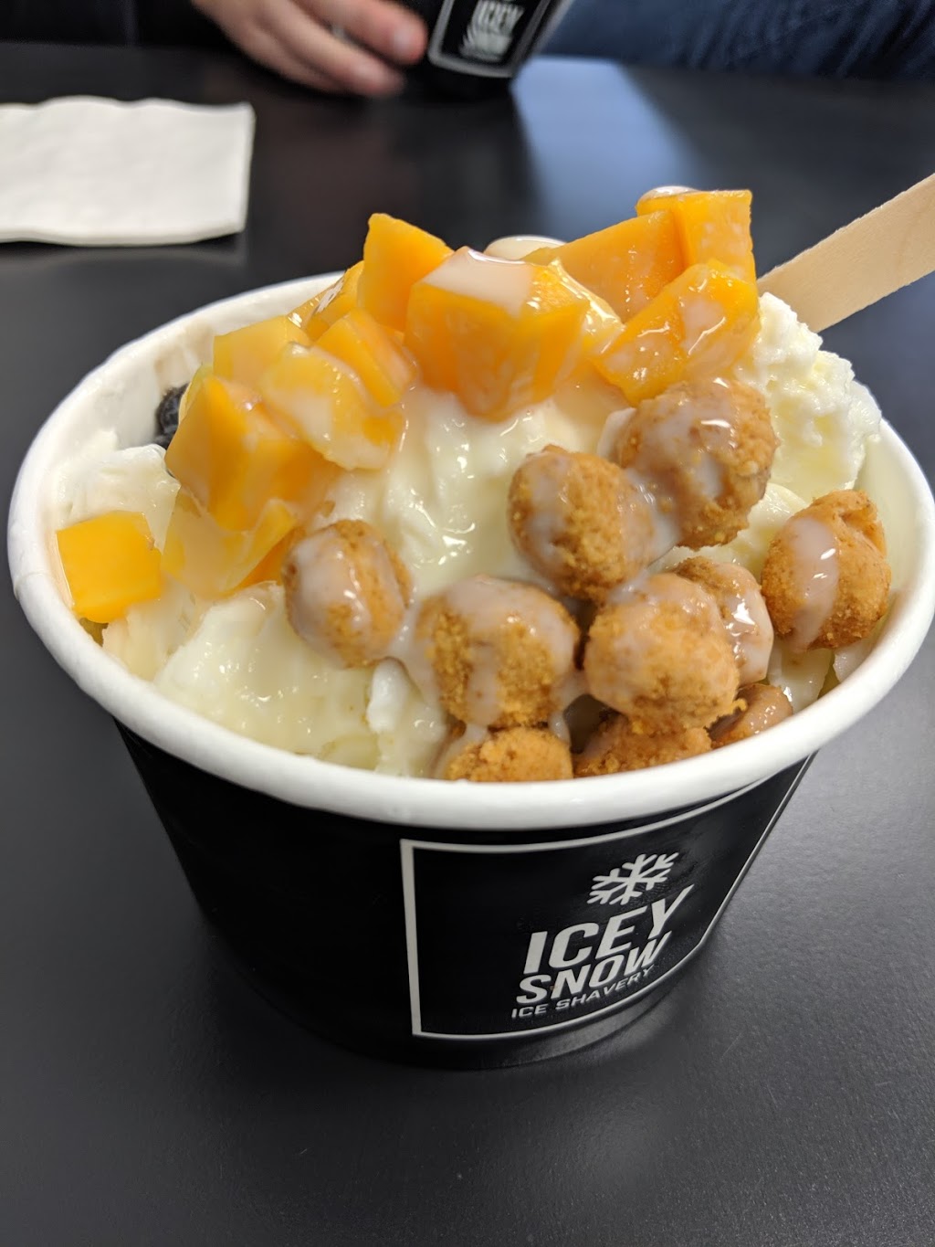 Icey Snow | 630 Kildare Ave E #3, Winnipeg, MB R2C 0P8, Canada | Phone: (204) 318-1030