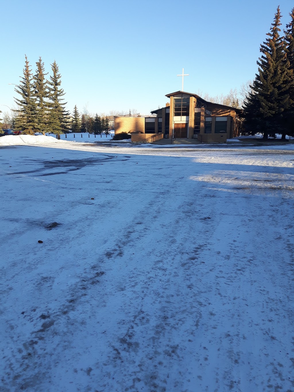 St Bernard | 711 37 St NW, Calgary, AB T2N 3C1, Canada | Phone: (403) 283-3746