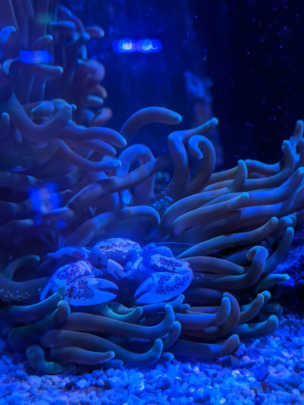 The Marine Experience | 10124 127 Ave NW, Edmonton, AB T5E 0B7, Canada | Phone: (587) 497-2742
