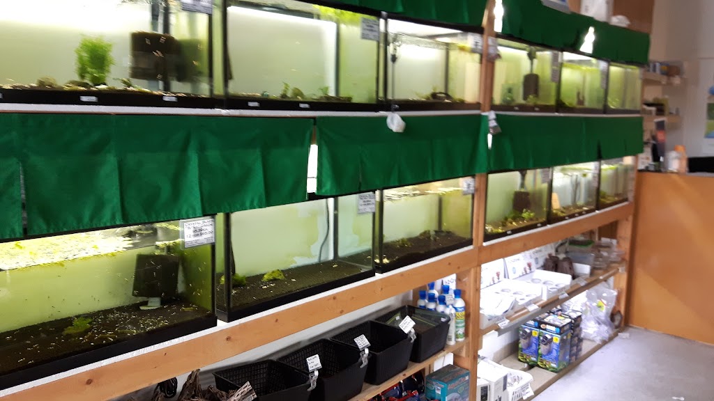 ShrimpFever Aquarium | 210 Silver Star Blvd Unit 801, Scarborough, ON M1V 5J9, Canada | Phone: (647) 667-6161
