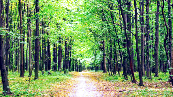 Osteopathy by Carla | 415 River Oaks Blvd W, Oakville, ON L6H 5P7, Canada | Phone: (416) 550-2277