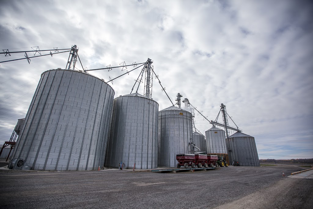 Wilmarvale Elevators Ltd | 7901 Mitch Owens Rd, Gloucester, ON K1G 3N4, Canada | Phone: (613) 822-1277