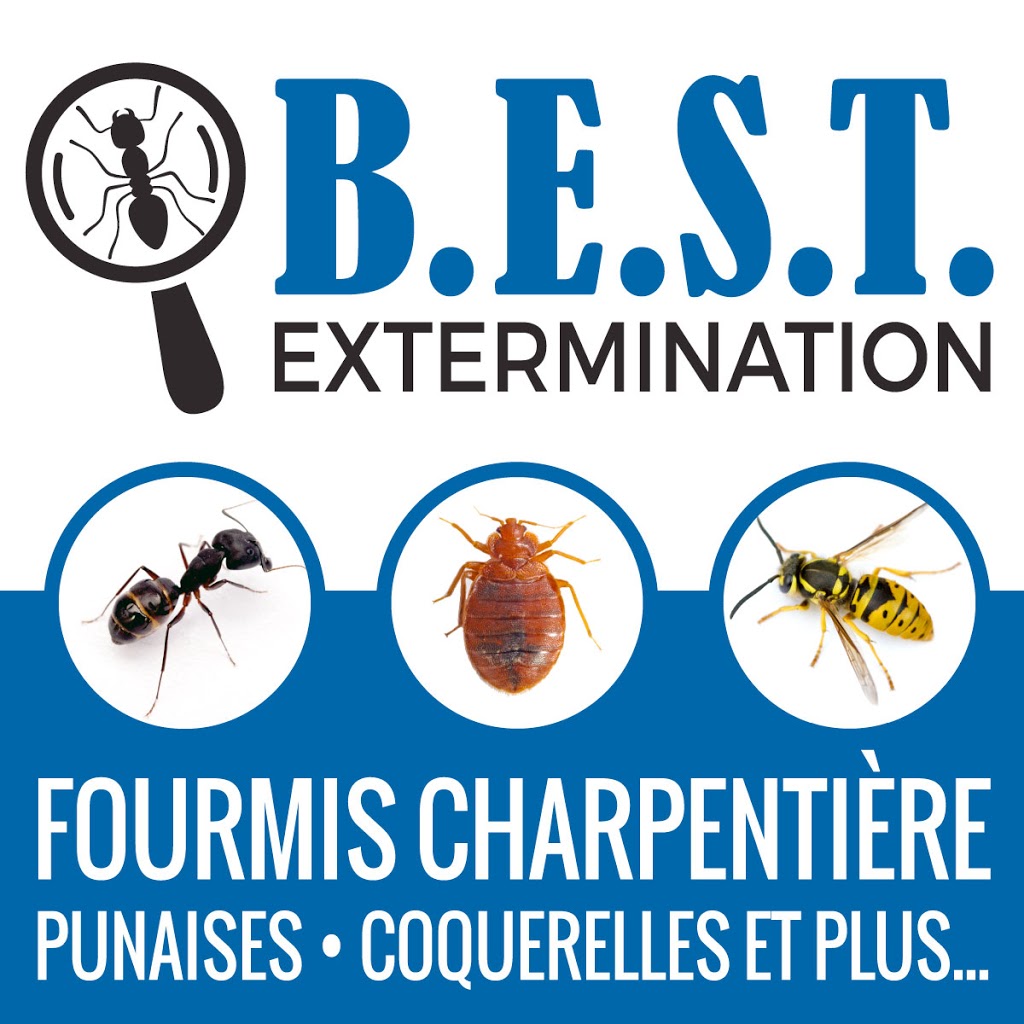 B.E.S.T. Extermination St-Césaire / Rougemont | 1150 Avenue Paquette, Saint-Césaire, QC J0L 1T0, Canada | Phone: (514) 715-0114