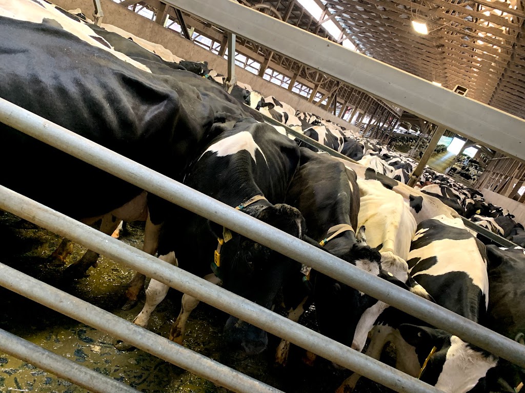 Pacific Dairy Centre Ltd | 8558 Chilliwack Mountain Rd, Chilliwack, BC V2R 3W8, Canada | Phone: (604) 852-9020