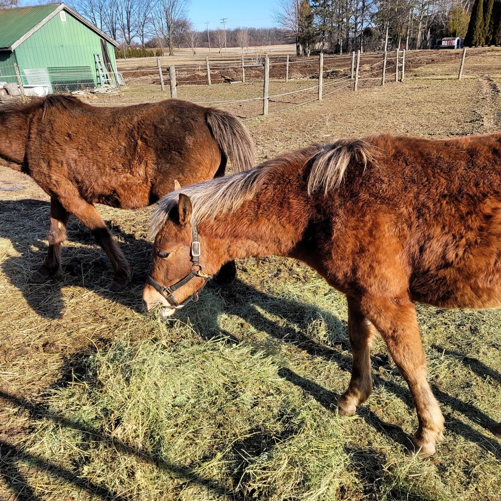 Cidermill Farms | 1750 Ferriss Rd, Harrow, ON N0R 1G0, Canada | Phone: (519) 903-1244