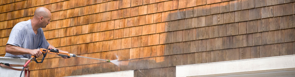 Supreme Green Home Services. | 525 E 48th Ave, Vancouver, BC V5W 2E4, Canada | Phone: (778) 302-1156