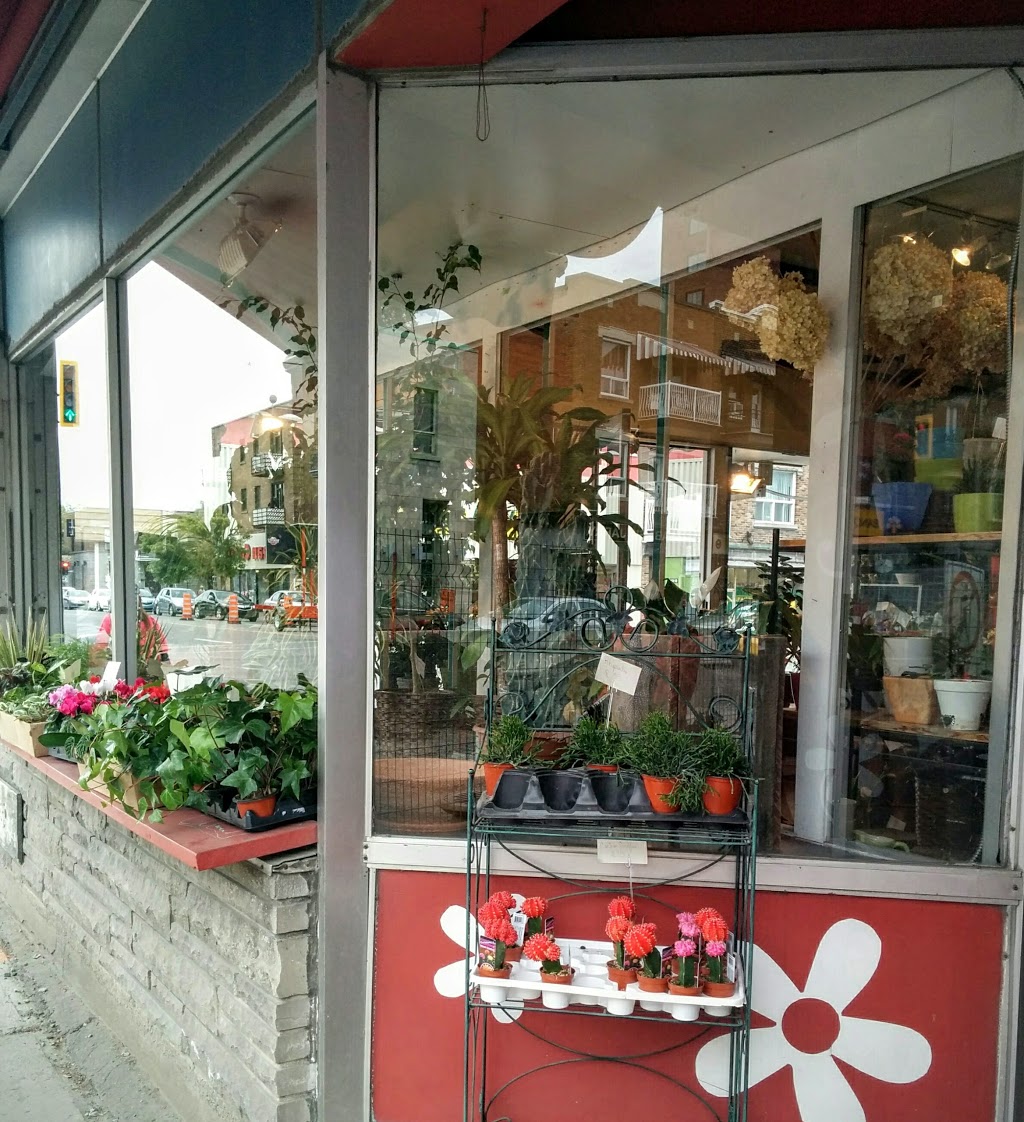 Fleuriste Beau Geste | 8101 Rue Saint-Denis, Montréal, QC H2P 2G7, Canada | Phone: (514) 382-2223