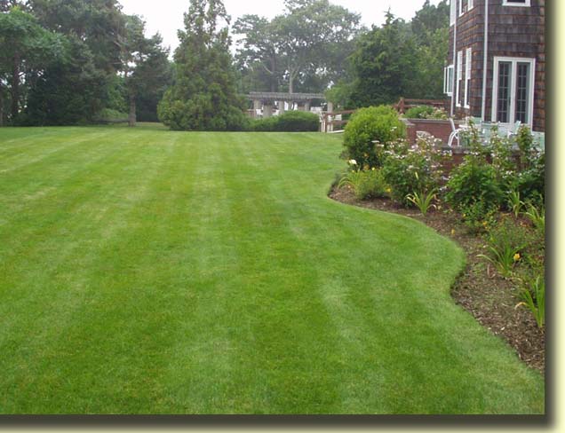Basil Green Landscaping - Vancouver Lawn Care Service | 1661 Quebec St, Vancouver, BC V5T 1B4, Canada | Phone: (778) 319-7381