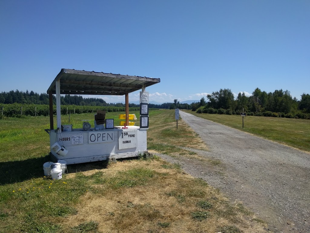Hannah Blueberries | 7892 Enterprise Rd, Ferndale, WA 98248, USA | Phone: (360) 366-1070