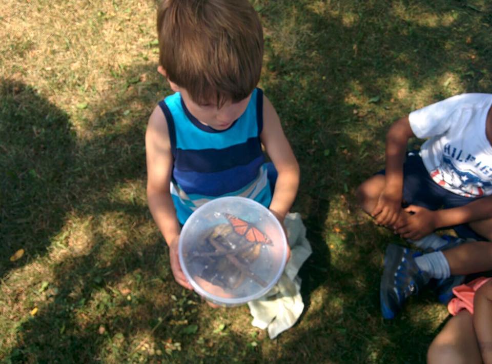 Headon Forest Montessori | 2600 Headon Forest Drive, Burlington, ON L7M 4G2, Canada | Phone: (905) 315-8385