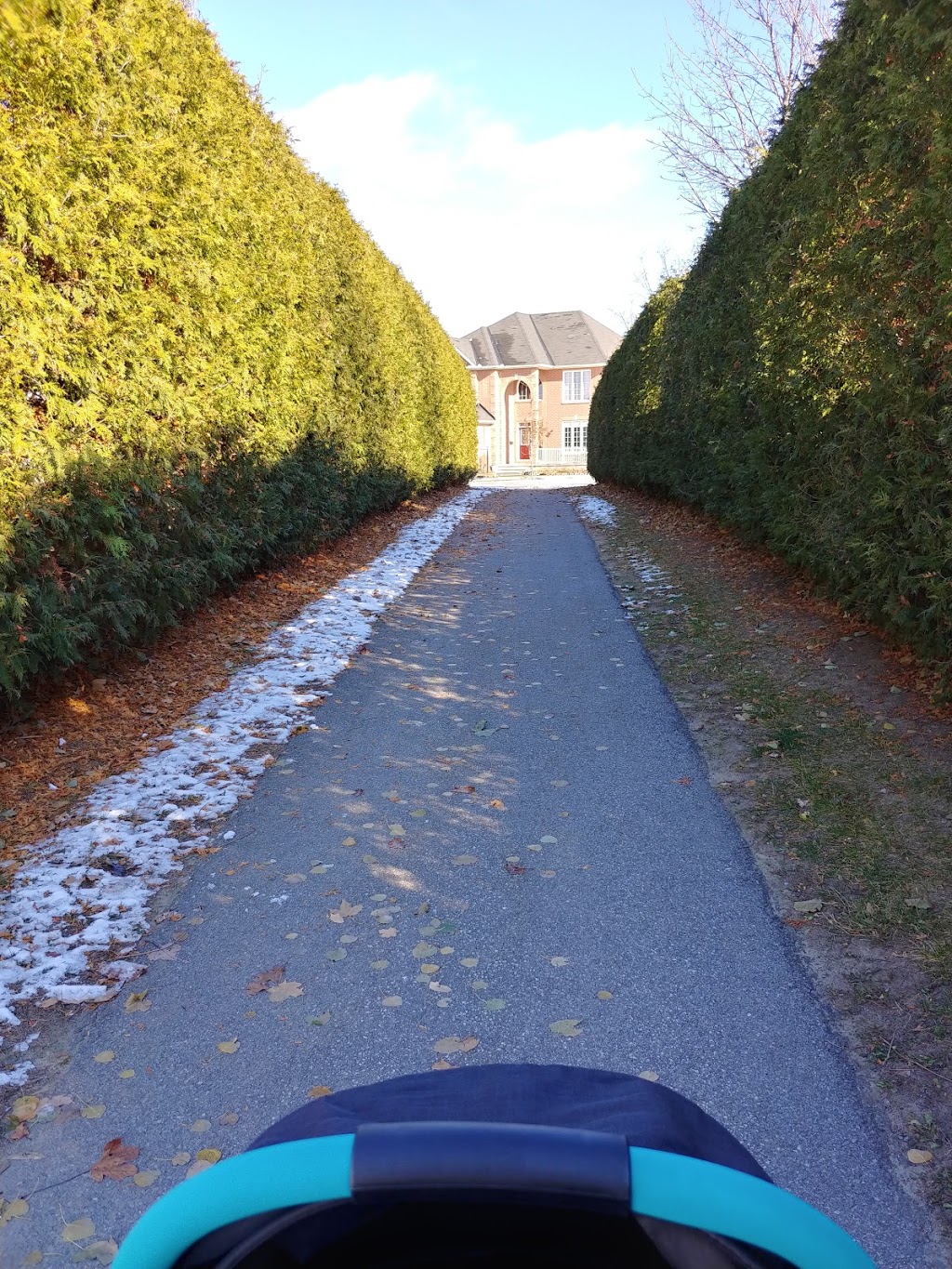 Trustee M. Curry Park | 85 Hartsmere Dr, Stittsville, ON K2S 2B5, Canada