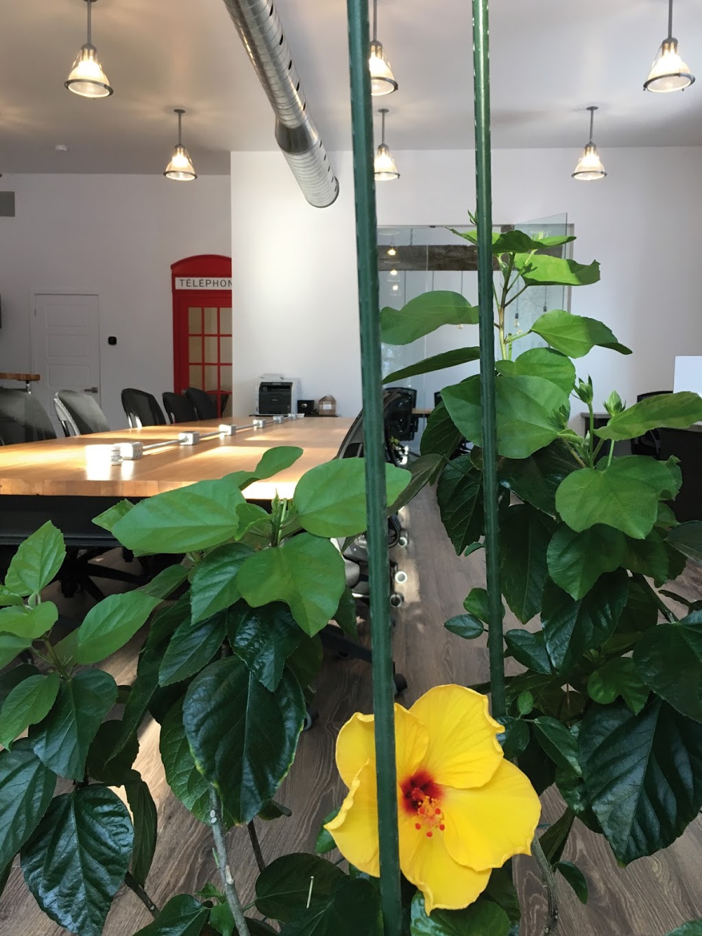 Le Loft Collectif espace de coworking | 121 Avenue de lÉglise, Saint-Sauveur, QC J0R 1R4, Canada | Phone: (514) 609-1506