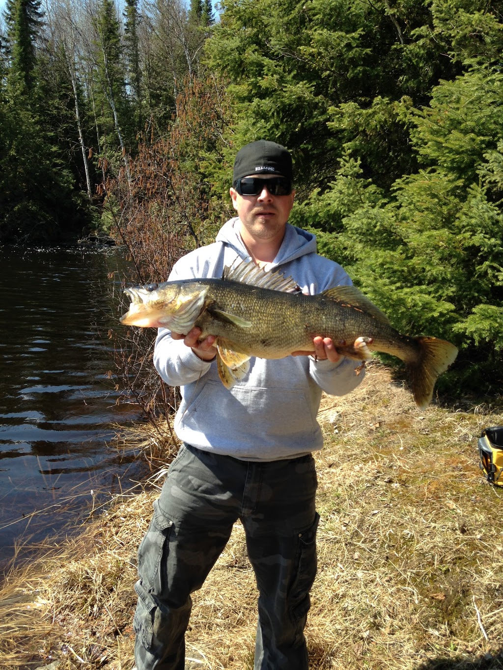 Larrys Baits | 4795 HWY 11-17, Kakabeka Falls, ON P0T 1W0, Canada | Phone: (807) 473-9321
