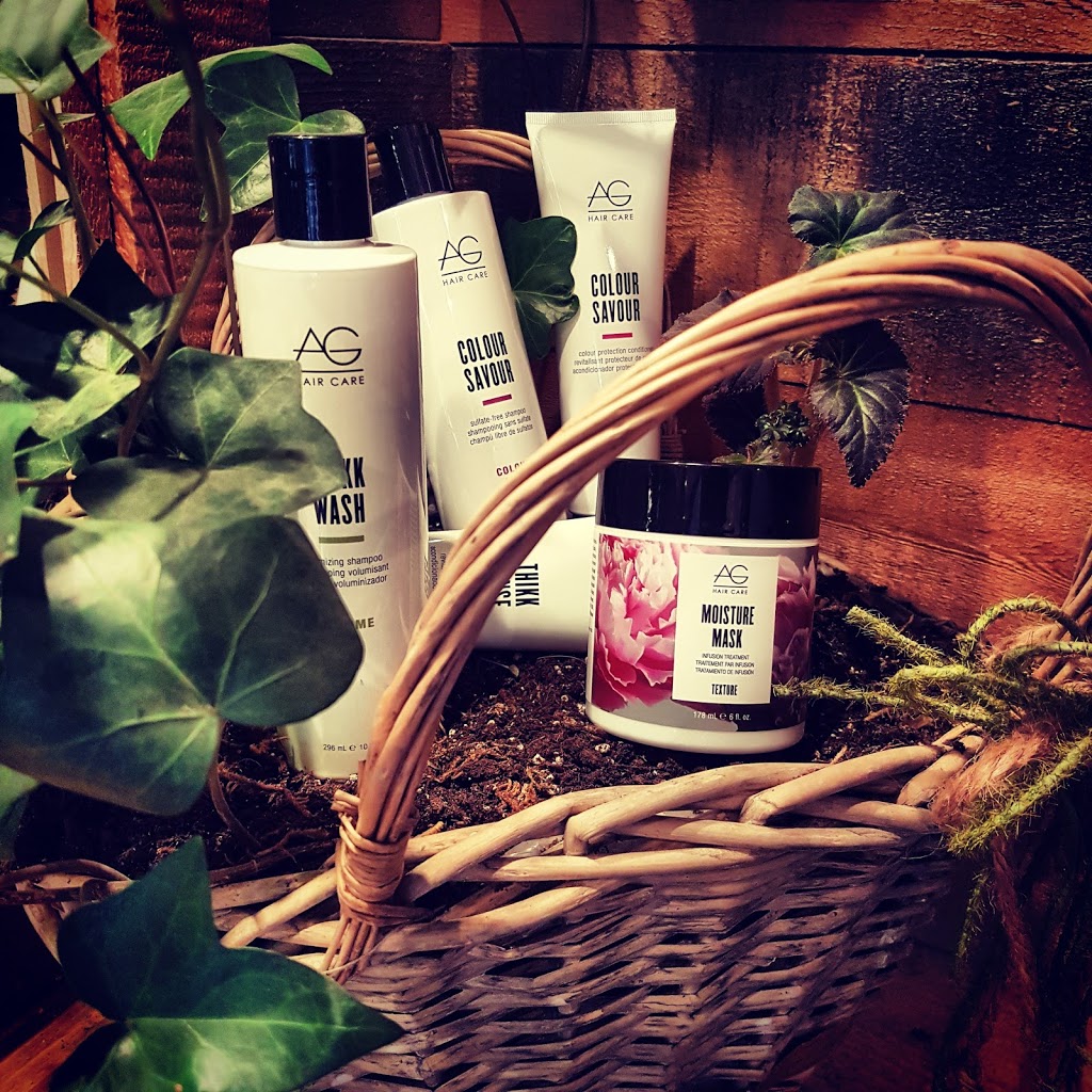 Avenue Principale | 344 Rue Principale, Saint-Donat-de-Montcalm, QC J0T 2C0, Canada | Phone: (819) 419-0099