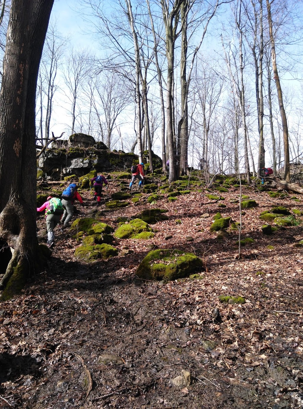 Mountainview Conservation Area | 4174 Mountainview Rd, Beamsville, ON L0R 1B2, Canada
