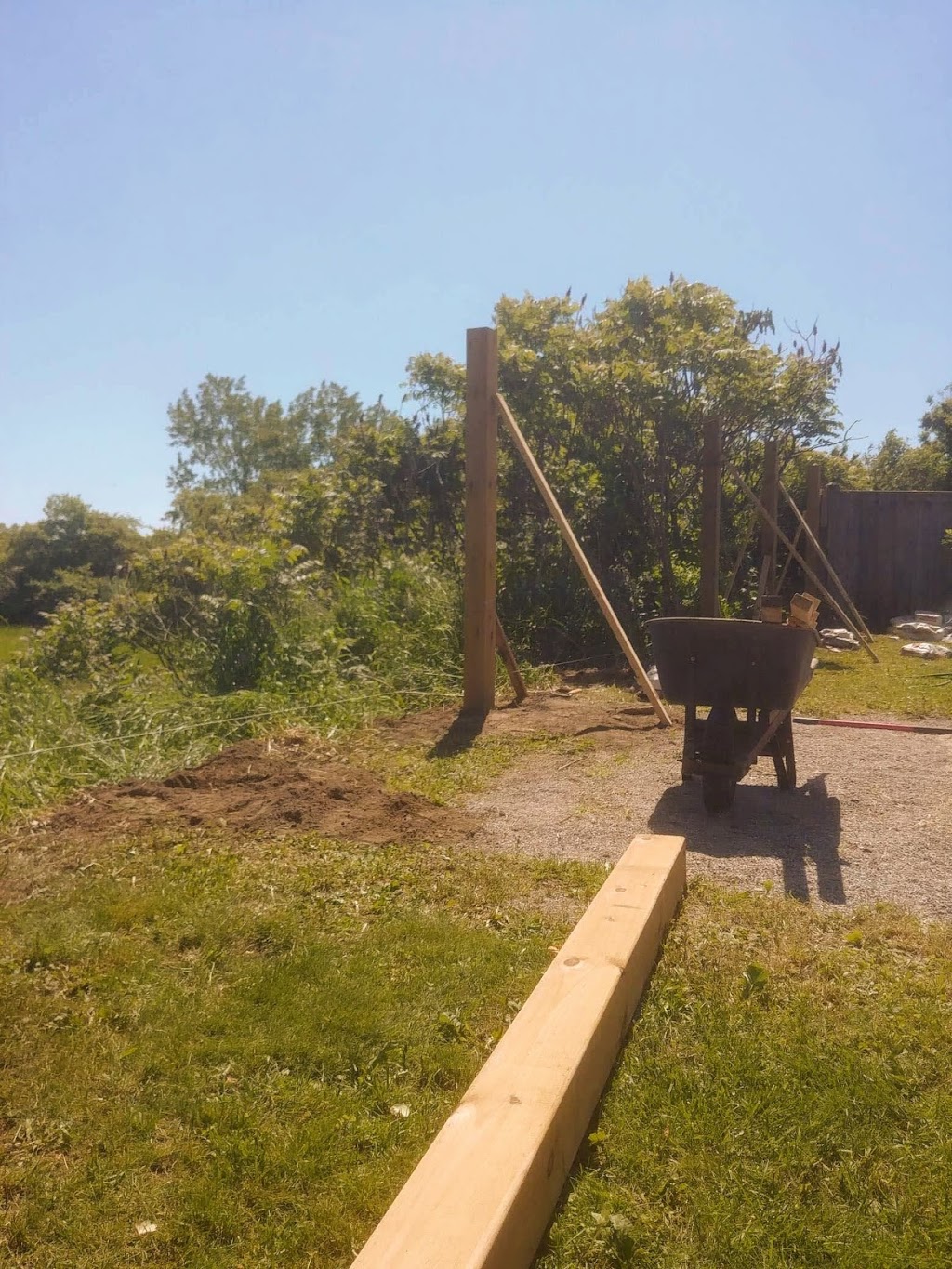 Black Cedar Landscape | 203 Browning Trail, Barrie, ON L4N 5H6, Canada | Phone: (705) 241-3232