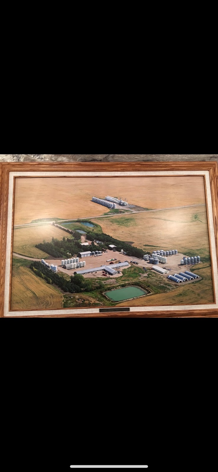 Crone Farms Inc | Box 698, Moose Jaw, SK S6H 4P4, Canada | Phone: (306) 690-7729
