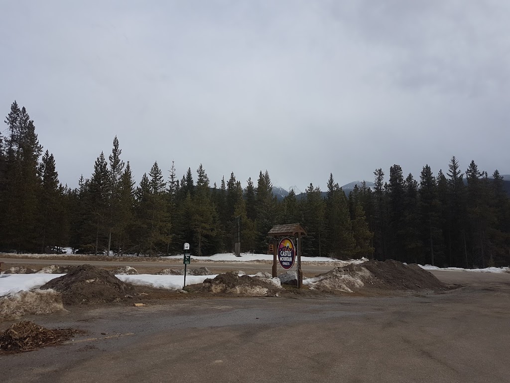 Castle Mountain Gas Station | AB-1A &, Banff-Windermere Hwy, Banff, AB T1L 1B5, Canada | Phone: (403) 762-3868
