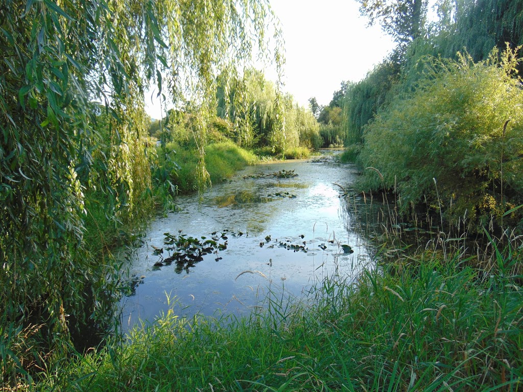 All Saints Monastery | 37323 Hawkins Pickle Rd, Dewdney, BC V0M 1H0, Canada | Phone: (604) 826-9336