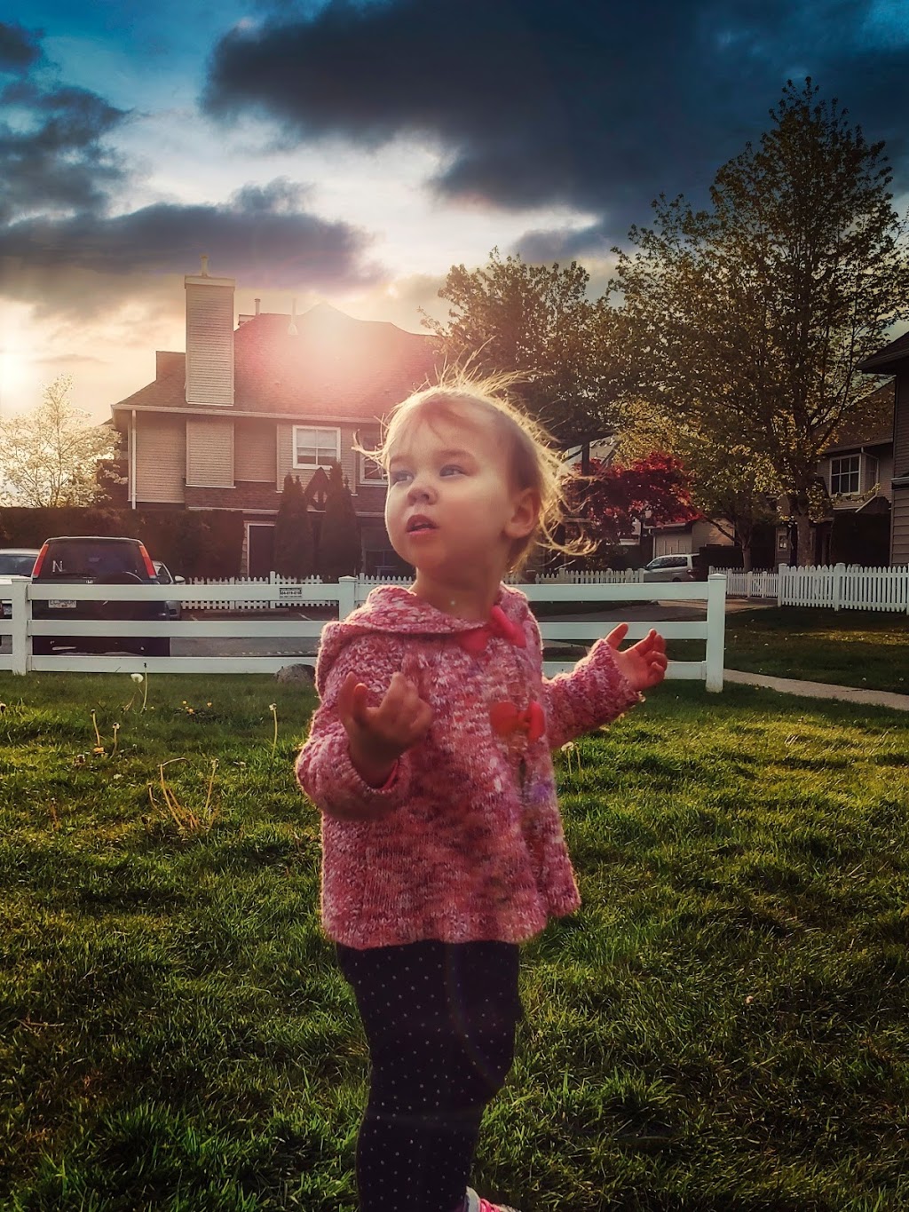 Lemon Tree Creative Studio | 12099 237 St, Maple Ridge, BC V4R 2C3, Canada | Phone: (604) 603-3433