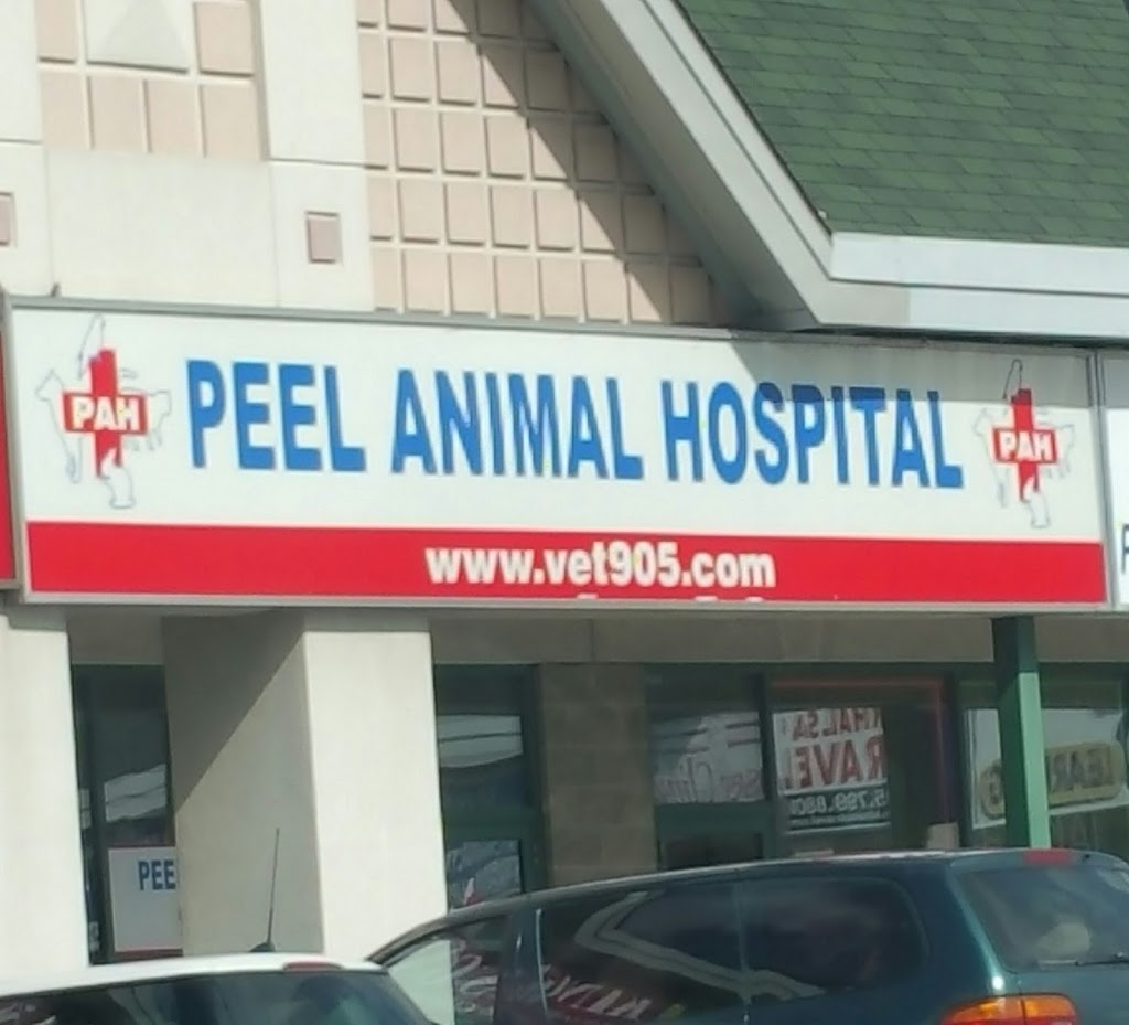 Peel Animal Hospital | 55 Mountainash Rd #20, Brampton, ON L6R 1W4, Canada | Phone: (905) 799-3121