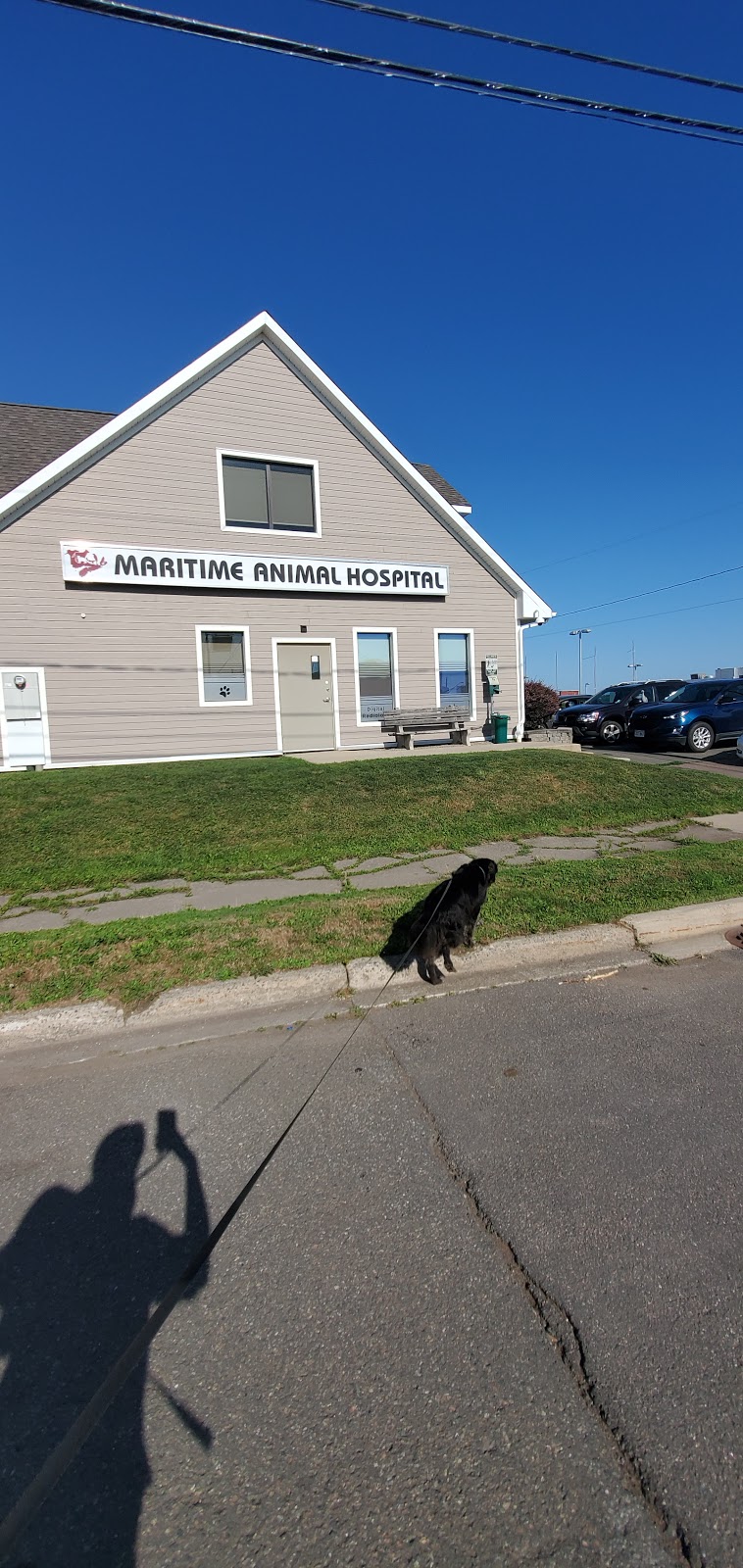 Maritime Animal Hospital (Moncton) | 1755 Main St, Moncton, NB E1E 1H2, Canada | Phone: (506) 389-2121