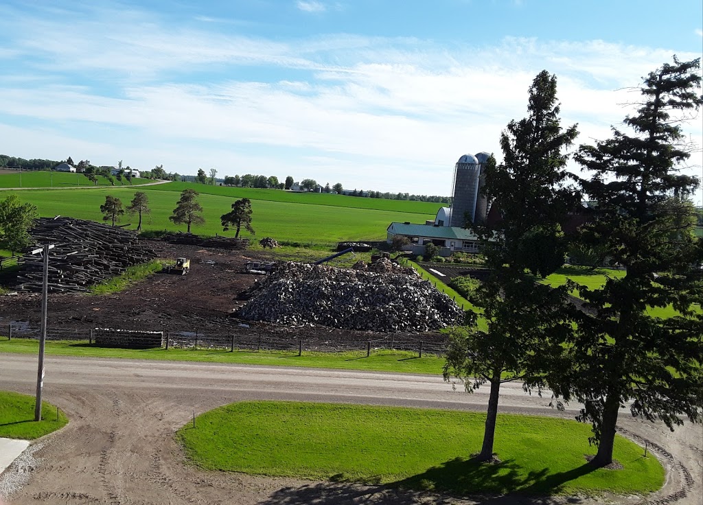 Ebersol Forestry {Firewood-Processing-Logging} | 4805 Line 76, Newton, ON N0K 1R0, Canada | Phone: (226) 751-5388