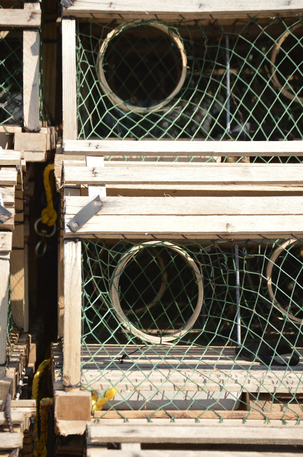 Cabot Fishermens CO-OP | 388 King St, Kensington, PE C0B 1M0, Canada | Phone: (902) 888-9214