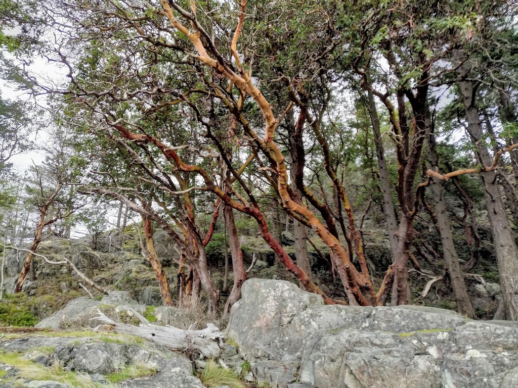 Francis Point Provincial Park | Sunshine Coast A, BC V0N 2H1, Canada | Phone: (800) 689-9025