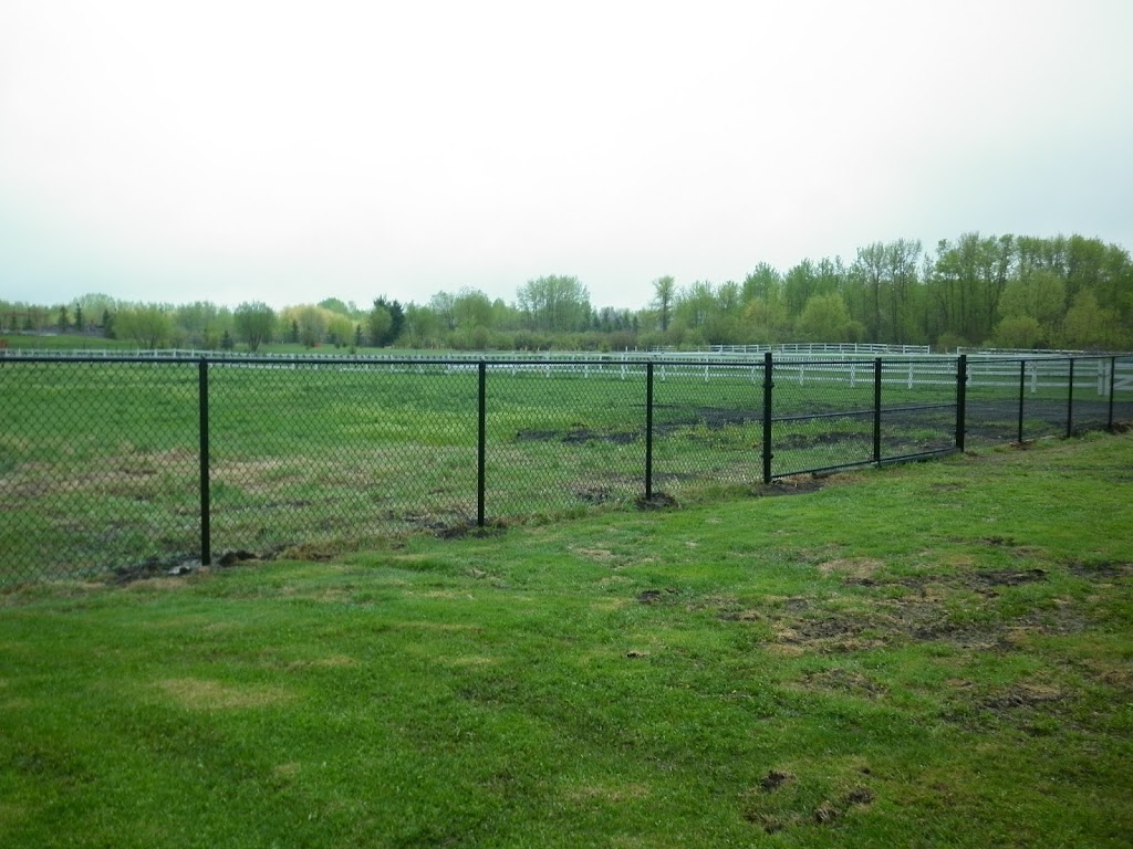 Phoenix Fence Corp | 12816 156 St NW, Edmonton, AB T5V 1E9, Canada | Phone: (780) 447-1919