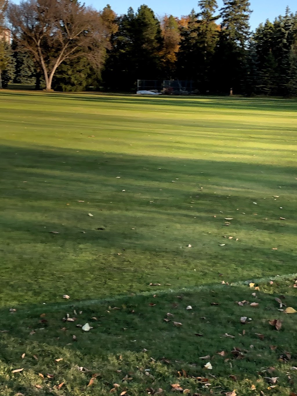 Victoria Cricket Pitch | 12040 River Valley Rd NW, Edmonton, AB T5K 2M6, Canada | Phone: (780) 298-8689