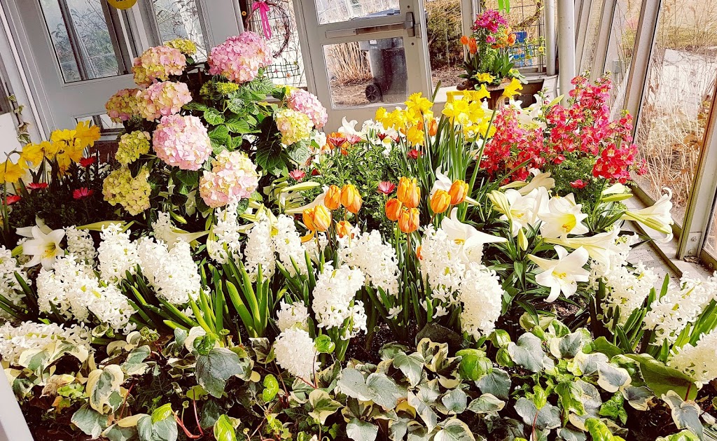 Centennial Park Conservatory | 151 Elmcrest Rd, Etobicoke, ON M9C 3S2, Canada | Phone: (416) 394-8543