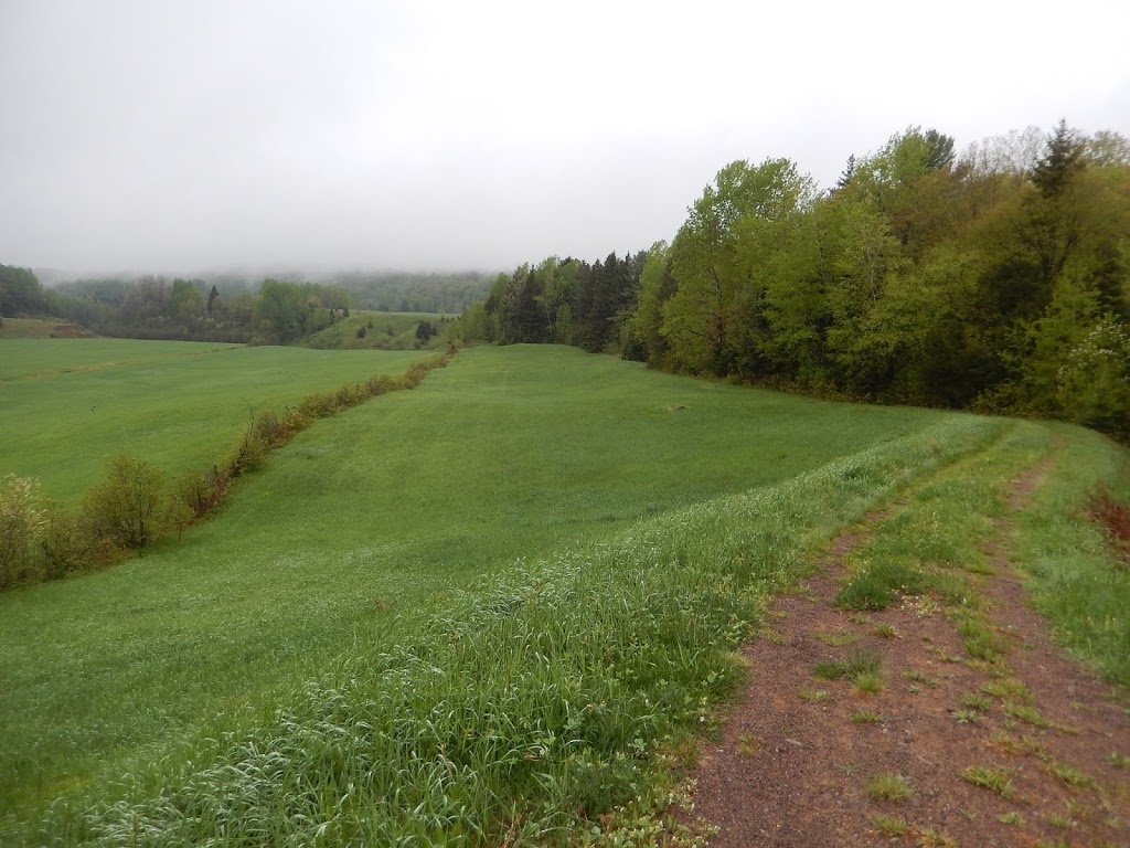 Prendre Racine | 551 Rang le Pétit Bellechasse N, Charette, QC G0X 1E0, Canada | Phone: (819) 266-0578