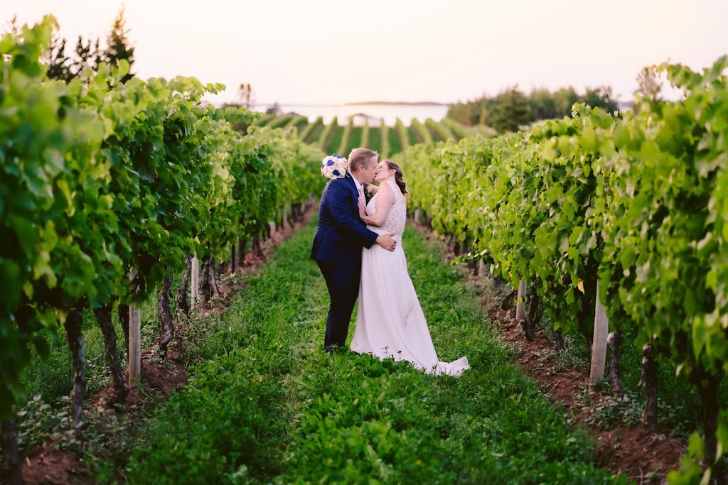 Beach Glass Photography | 372 Vimy Rd, Truro, NS B2N 4K3, Canada | Phone: (902) 953-1118