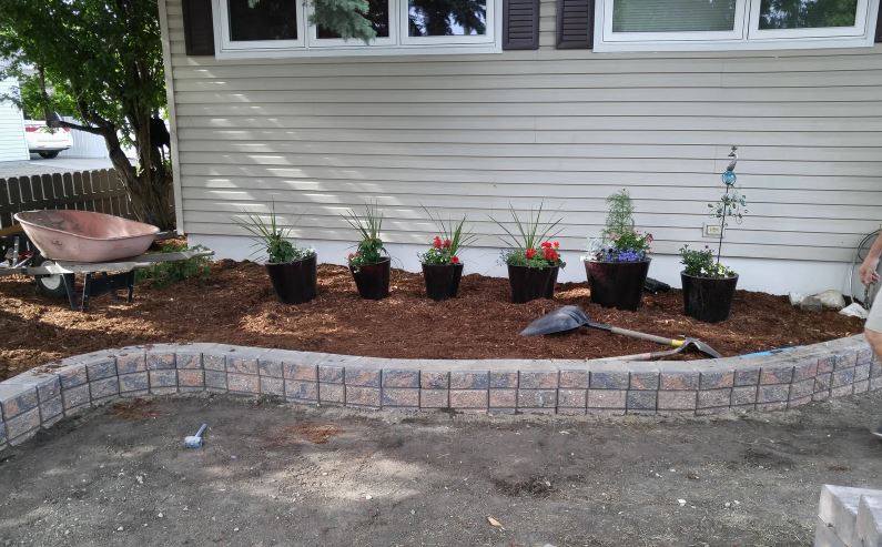 The Sod Guy Inc | 48 Maplecourt Crescent SE, Calgary, AB T2J 1V7, Canada | Phone: (403) 510-4924