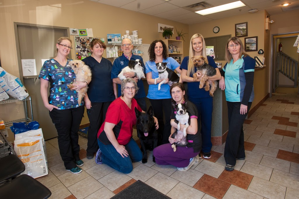 Bridlewood Veterinary Clinic | 26-17107 james McKevitt Rd SW, Calgary, AB T2Y 3Y4, Canada | Phone: (403) 201-6427