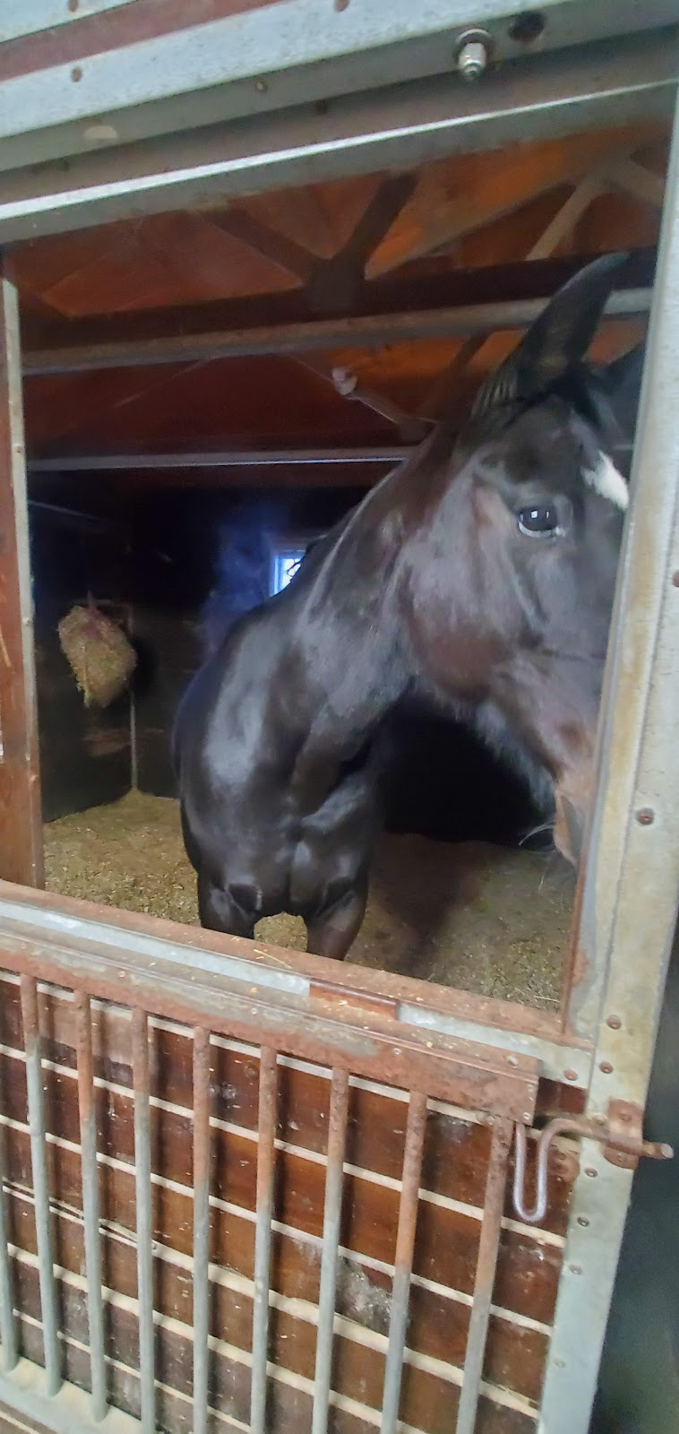 Fieldstone Equestrian Center | 524494 Curry Rd, Beachville, ON N0J 1A0, Canada | Phone: (226) 921-6048