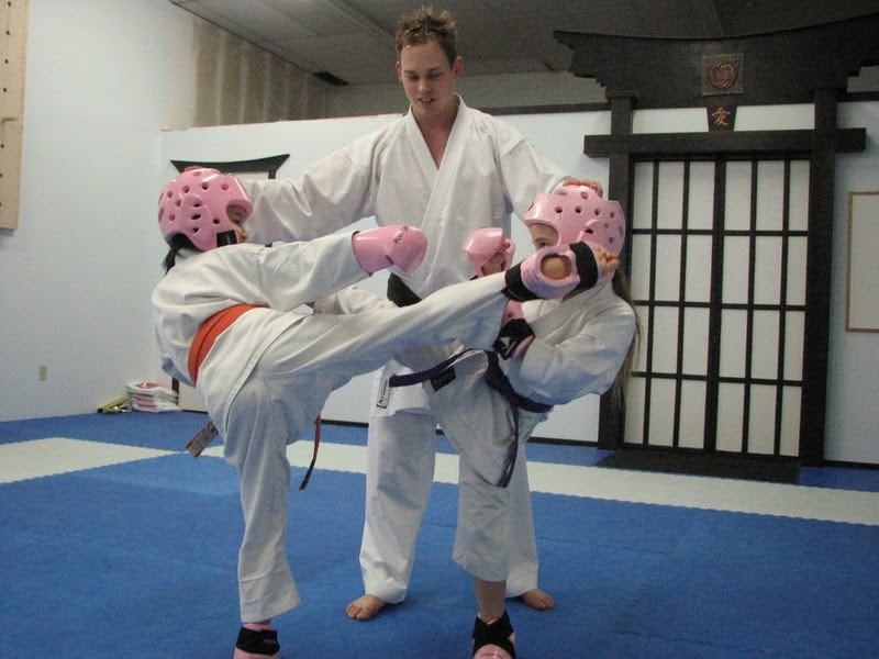 Tigers Lair Karate | 6625 Drummond Rd, Niagara Falls, ON L2G 4N4, Canada | Phone: (905) 371-8287