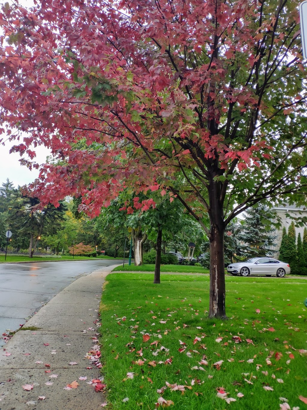 Gundy Park | 2211 Chemin Sunset, Mont-Royal, QC H3R 2Y5, Canada | Phone: (514) 872-0311