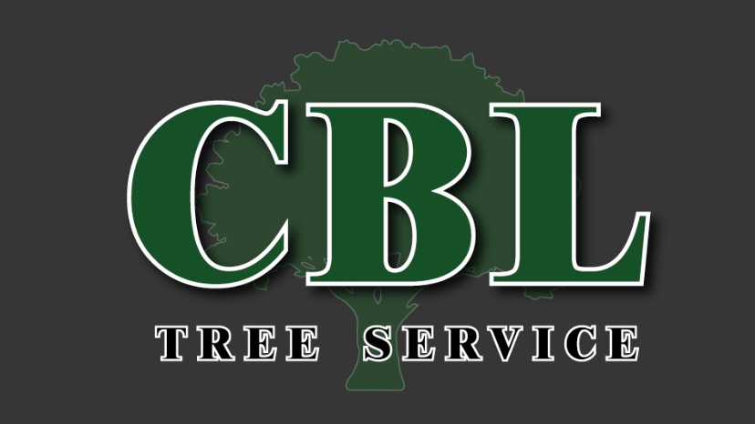 CBL TREE SERVICE | 1150 McGregor Bay Rd, Keene, ON K0L 2G0, Canada | Phone: (705) 931-2227
