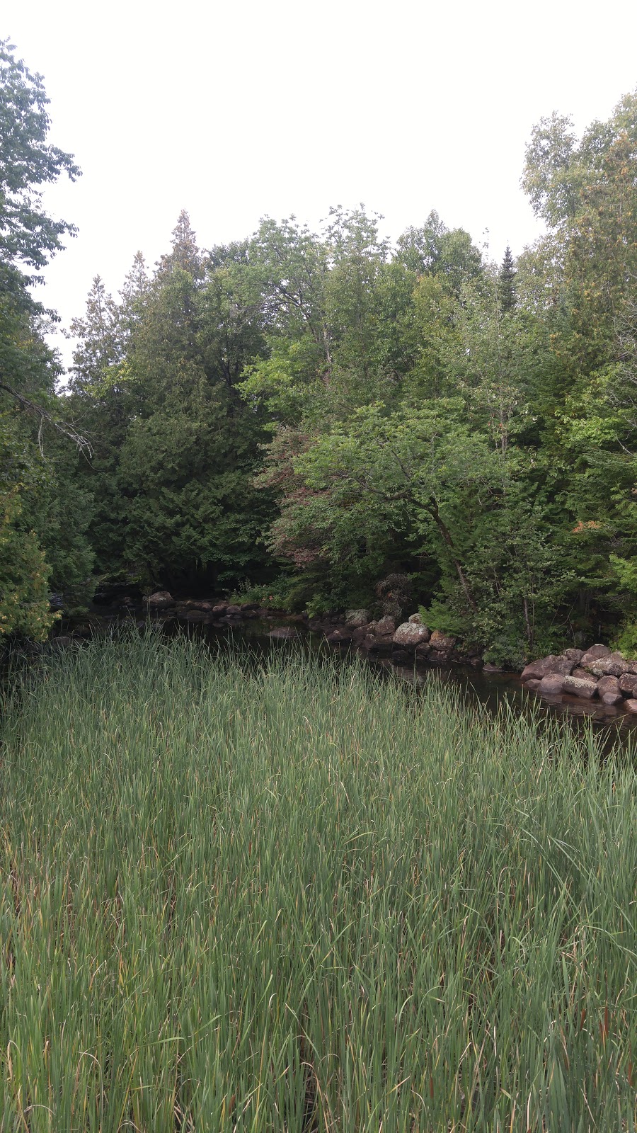Camp Bnai Brith of Montreal (CBB) | 5445 Route 329N, Sainte-Agathe-des-Monts, QC J8C 0M7, Canada | Phone: (819) 326-4838