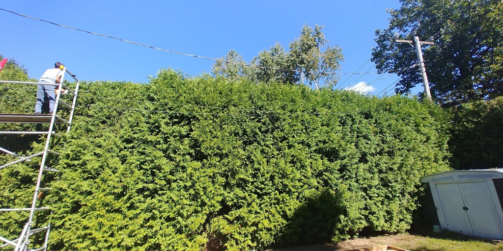 Parc Aumais | 300 Rue Cypihot, Sainte-Anne-de-Bellevue, QC H9X 4A7, Canada
